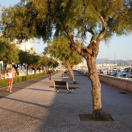 Hotel Js Sol De Picafort - Adults Only 3*